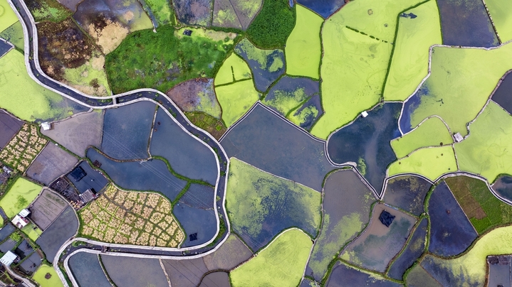  2026年4月15日，雨后的贵州省黔东南苗族侗族自治州从江县贯洞镇云雾缭绕、绿意盎然。从空中俯瞰，色彩斑斓的稻田、错落有致的民居、整齐排列的农业大棚、蜿蜒通达的乡村道路与远山群峰相映成趣，共同勾勒出一幅生态宜居、产业兴旺的乡村振兴壮美画卷。来源：IC photo

