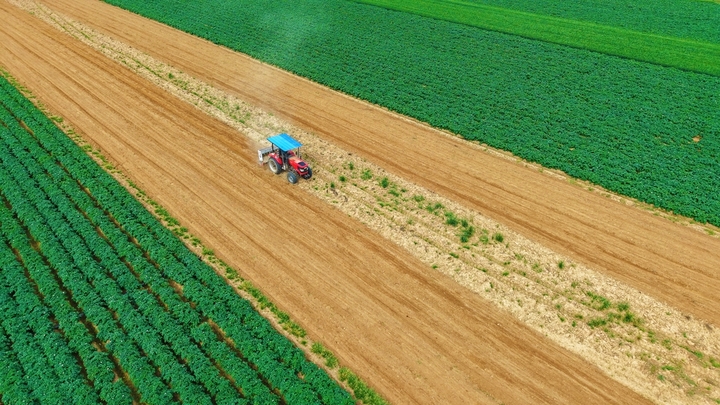 2026年4月17日，河南省南阳市卧龙区英庄镇贾营村，村民驾驶农机在田间进行旋耕、施肥作业，为种植早花生做好准备。王小军/IC photo