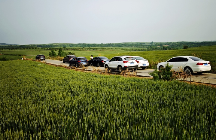 2026年4月19日，湖北省十堰市丹江口，丹江口市丹赵路街道茅腊坪村的千亩麦田麦浪翻涌，尽显春日生机与宁静之美。