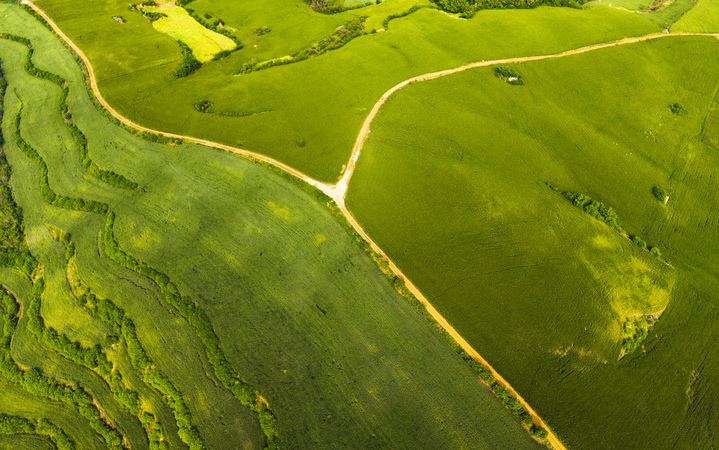 2026年4月19日，湖北省十堰市丹江口，丹江口市丹赵路街道茅腊坪村的千亩麦田麦浪翻涌，尽显春日生机与宁静之美。