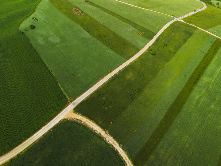 2026年4月19日，湖北省十堰市丹江口，丹江口市丹赵路街道茅腊坪村的千亩麦田麦浪翻涌，尽显春日生机与宁静之美。
