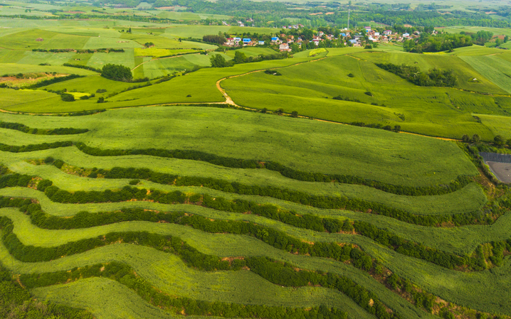 2026年4月19日，湖北省十堰市丹江口，丹江口市丹赵路街道茅腊坪村的千亩麦田麦浪翻涌，尽显春日生机与宁静之美。