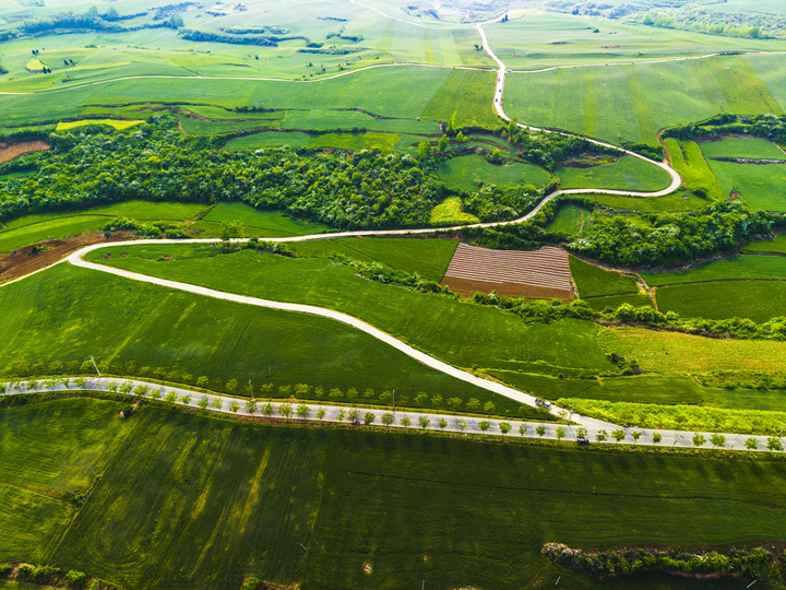 2026年4月19日，湖北省十堰，近日，丹江口市丹赵路街道茅腊坪村的千亩麦田已成为市民踏青打卡的热门地，连片麦苗如碧色绒毯铺展大地，蜿蜒乡路穿梭其间，勾勒出壮美的田园线条。微风拂过，麦浪翻涌，这里尽显春日生机与宁静之美。来源：杨道三/视觉中国
