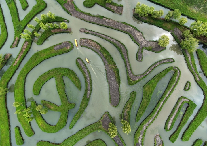 2026年4月23日，游客坐游船在江苏盐城大纵湖景区芦苇迷宫中游玩。春日融融、风光旖旎，各地游客慕名来到盐城大纵湖景区，亲近水乡自然美景，尽享悠闲春光。