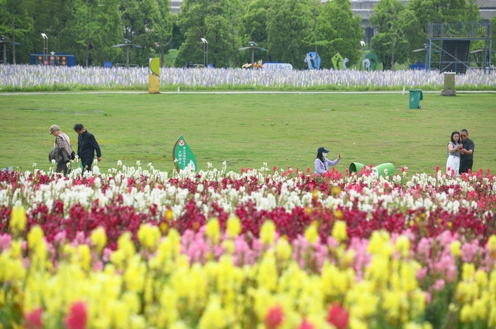 2026年4月19日，南昌马兰圩花团锦簇，游人赏花观景乐享生态美景。