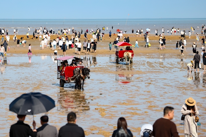 2026年5月3日，游客带着孩子在江苏省连云港市赣榆海州湾旅游度假区乘坐马车游玩。