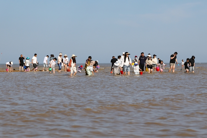 2026年5月3日，游客带着孩子在江苏省连云港市赣榆海州湾旅游度假区游玩。 

