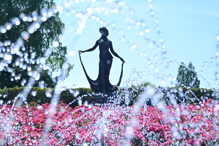2026年5月6日，大片月季密集盛放。近日，第四届杭州市月季花展在浙江杭州花圃、郭庄等景点亮相，不同品种的月季争奇斗艳，姹紫嫣红的花境吸引游人打卡。来源：王刚(浙江分社)/中新社/cnsphoto/IC photo
